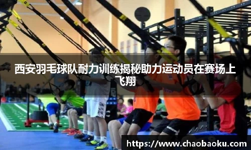西安羽毛球队耐力训练揭秘助力运动员在赛场上飞翔