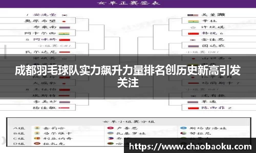 成都羽毛球队实力飙升力量排名创历史新高引发关注