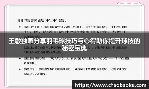 王敏独家分享羽毛球技巧与心得助你提升球技的秘密宝典