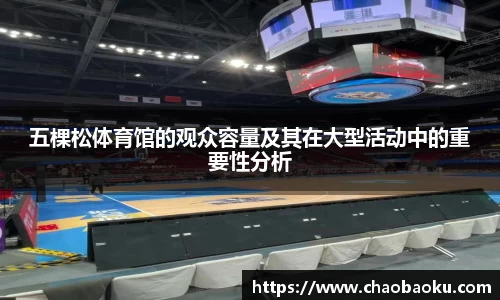 五棵松体育馆的观众容量及其在大型活动中的重要性分析